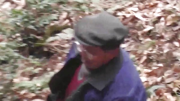 亚洲导入型树林里野生的希尔斯廷傻瓜裸体